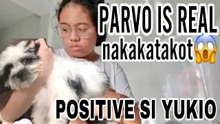 VLOG# 848 DINAPUAN NG PARVO SI YUKIO