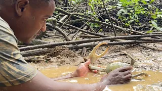 I Almost Lost A Finger! Catching Giant MudCrab With My Barehands C&C