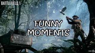 BATTLEFIELD 1 FUNNY MOMENTS | PLAYING WITH PIGEONS