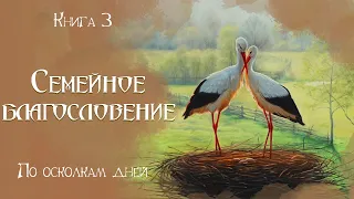 🌺СЕМЕЙНОЕ БЛАГОСЛОВЕНИЕ🌺  Новый христианский рассказ. Истории из жизни.