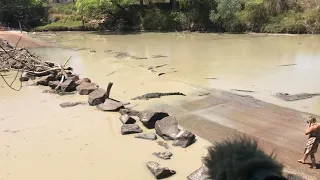 A girl approaching a croc at Cahill’s Crossing. Pls be croc wise.