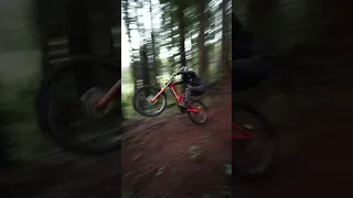 @forrestriesco8279 showing us a little masterclass in bike control 🤌