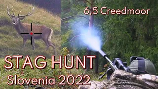 Stag Hunt In The Rut (PART 1), Blaser R8 6,5creedmoor, Hirschjagd, Chasse au cerf, Hjortjakt, 2022