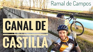Canal de Castilla en BICI | Ramal de Campos 🚴‍♂️⚓