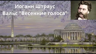 Штраус. Классическая Музыка для Учебы и Работы.ClassicalMusic forStudy and Work #classical  #relax