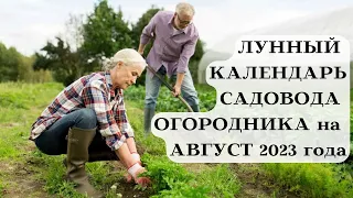 ЛУННЫЙ КАЛЕНДАРЬ САДОВОДА ОГОРОДНИКА на АВГУСТ 2023┃#луна #календарь #август #2023 #сад #совет #топ