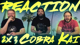Cobra Kai 2x3 REACTION!! "Fire and Ice"