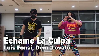 Echame La Culpa - Luis Fonsi, Demi Lovato / Zumba / Choreography / Dance / Workout / WZS CREW