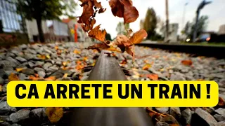 Comment des feuilles mortes peuvent bloquer un train ?