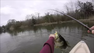 Big Pre-Spawn Bass on Z-man Chatterbait!