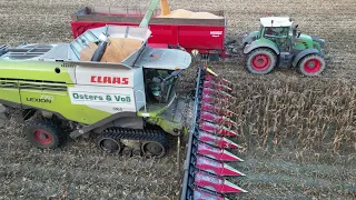 CLAAS LEXION 770TT (12 Reiher) bei der Körnermaisernte 2022 / OSTERS & VOß / 4K