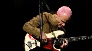 Flea et Warren Ellis - Pathway to Paris Trianon 2015