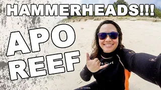 Apo Reef, Occidental Mindoro, Philippines (Hammerhead Sharks) | Vlog #30 | MayenTV