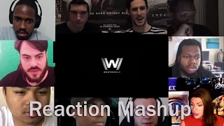 Westworld Teaser Trailer (HBO) -   REACTION MASHUP