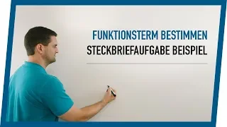 Funktionsterm bestimmen mit Bedingungen, Steckbriefaufgabe | Mathe by Daniel Jung