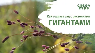 Как создать сад с растениями гигантами. Цветник своими руками. YOUTUBE