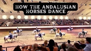 How The Andalusian Horses Dance - The Royal Andalusian School of Equestrian Art, Spain