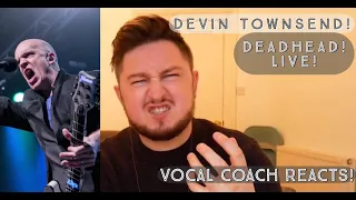 Vocal Coach Reacts! Devin Townsend Project! Deadhead! Live!