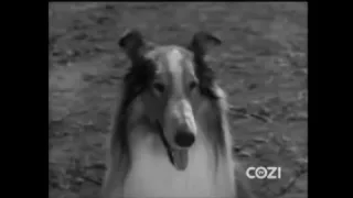 Lassie - Episode #233 - "Bows and Arrows" - Season 7 Ep. 14 - 12/18/1960