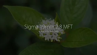Sigma 19mm 2.8 Art Lens (Review By Jack Crofts)