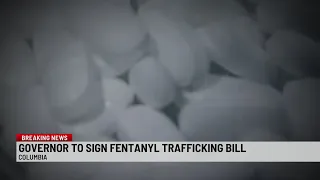 Fentanyl trafficking bill gets final approval at SC State House