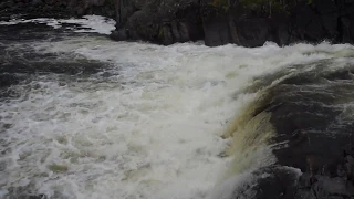 Ход сëмги на нерест. водопад на реке Западная лица. Мурманская область