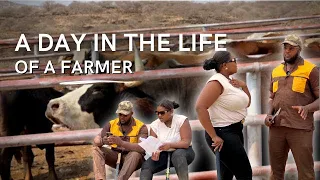 A Day In The Life Of A Farmer 😇 👨‍🌾 🐎🐄🐐😎🚜
