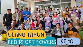 Dek Chiko Ikut di Acara Ulang Tahun Kediri Cat Lovers (KCL) ke 10. cat, cats, animal, pet, trending