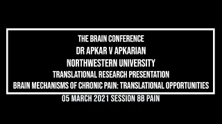 The Brain Conference 2021: Translational Research presentation: Apkar V Apkarian