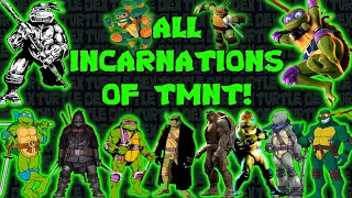 All Teenage Mutant Ninja Turtles Incarnations!