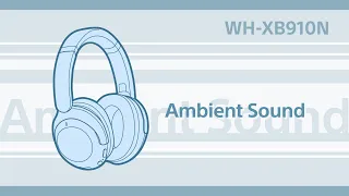WH-XB910N How to use the noise cancelling