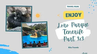 Loro Parque Tenerife Vlog June 2022