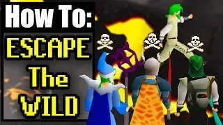 A Guide To Escaping The Wild In Old School Runescape