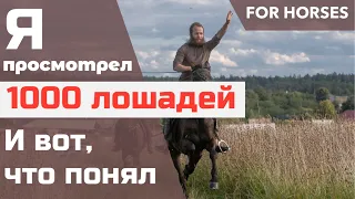 Как правильно выбрать лошадь? | Александр Обжерин