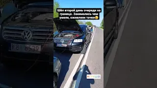 Автоподбор Киев. Оживление VW Touareg