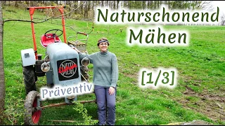 Naturschonend Mähen [1/3]: Stellschrauben VOR dem Mähen– für ALLE | Ökologin erklärt