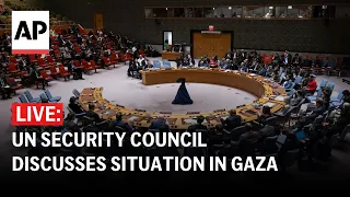 LIVE: UN Security council discusses situation in Gaza