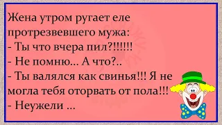 🤡Жена Утром Ругает Еле Протрезвевшего Мужа...Сборник Весёлых Анекдотов, Для Супер Настроения!