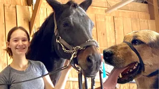 Sandy Meets My Horse | (FIRST TIME!!)