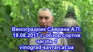 Виноградник Саврана А П  18,08,2017 часть1