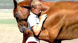 Animales que piden ayuda y bondad a la gente