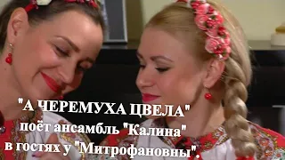 "А ЧЕРЕМУХА ЦВЕЛА" поёт ансамбль "Калина" в гостях у "Митрофановны".