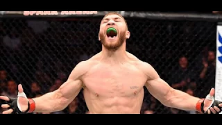 Results and highlights from the exciting finishes at UFC Fight Night, Lewis vs  Hunt, Sports News On