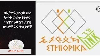 EthiopikaLink The insider News Best of Ten years