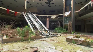 [Nothing But] Flowers by Talking Heads but it's playing in a shopping mall covered with flowers