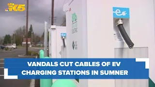 Vandals cut cables of newly installed EV charging stations in Sumner