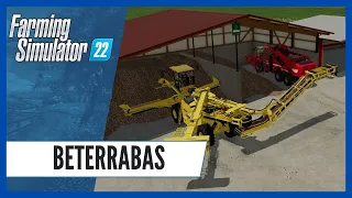 Tutorial de BETERRABAS no FS22, Como plantar, colher e vender Beterrabas | FARMING SIMULATOR 22