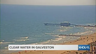 Clear water in Galveston