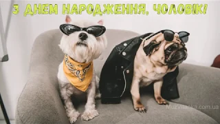 З Днем народження, привітання чоловіку! (Песики)