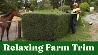 Relaxing Hedge Trimming On a Beautiful Horse Farm